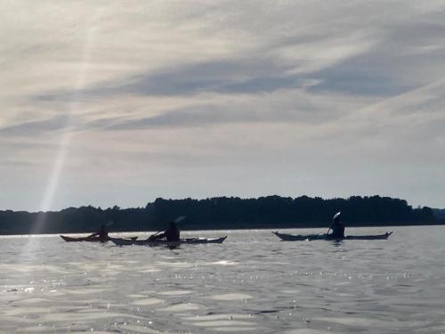 Sortie mer (18/10/2025)